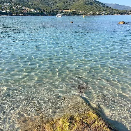 Διαμέρισμα A Marina T2 Vue Mer Plage Du Ruppione A 2 Min *